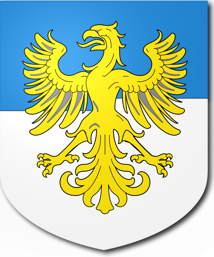 Shield image