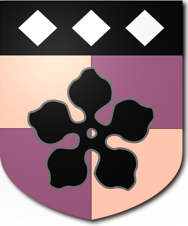 Shield image