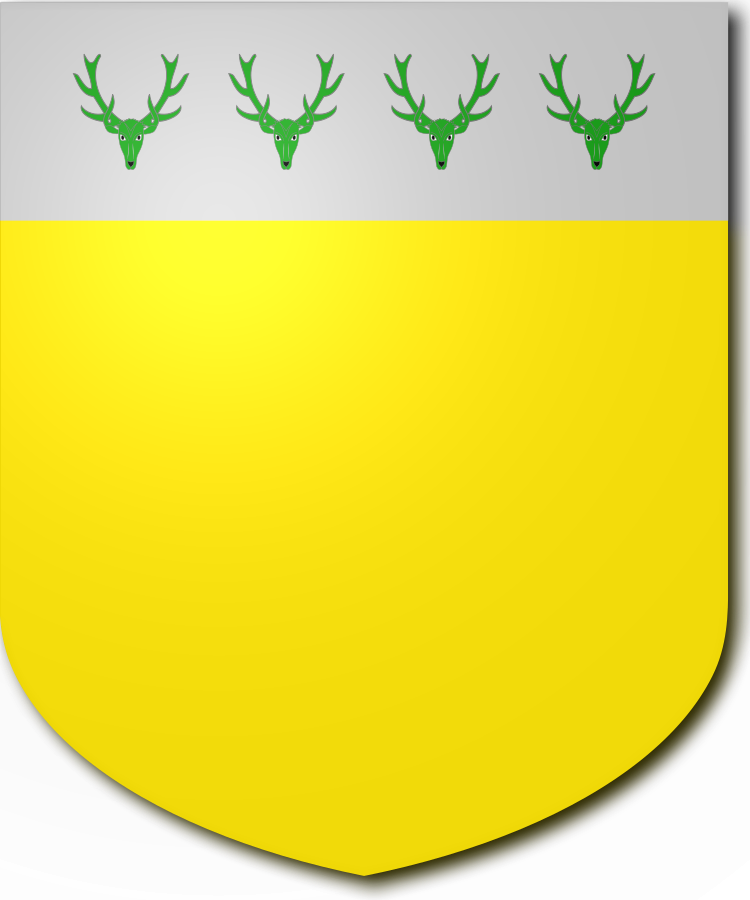 Shield image