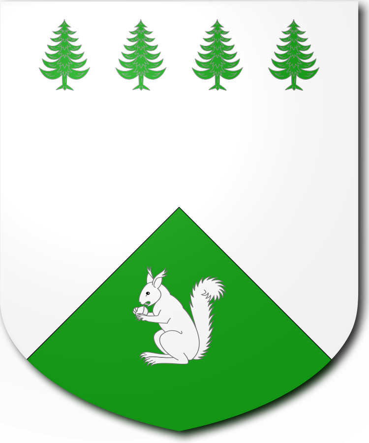 Shield image