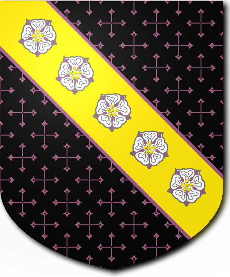 Shield image