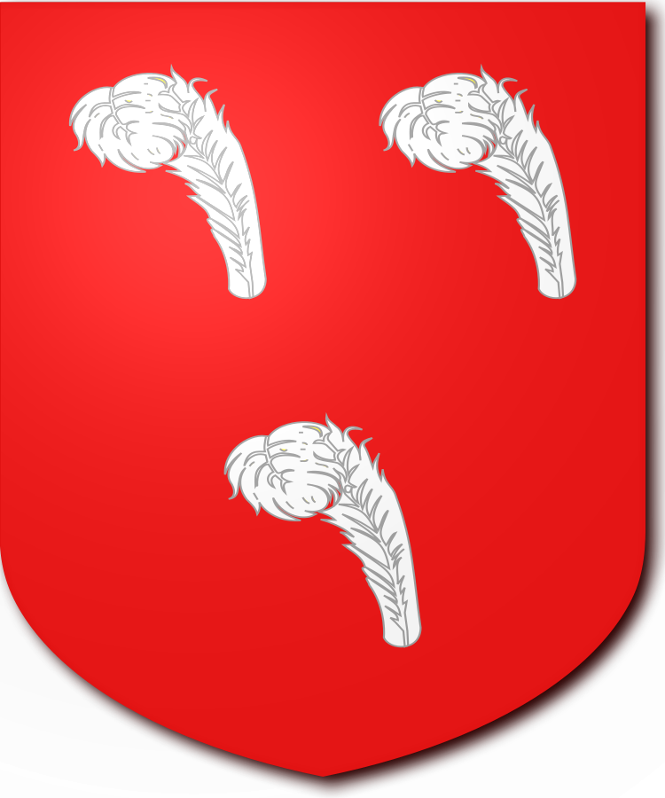 Shield image