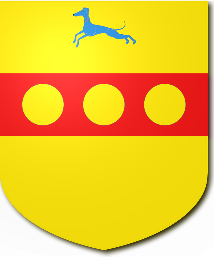 Shield image