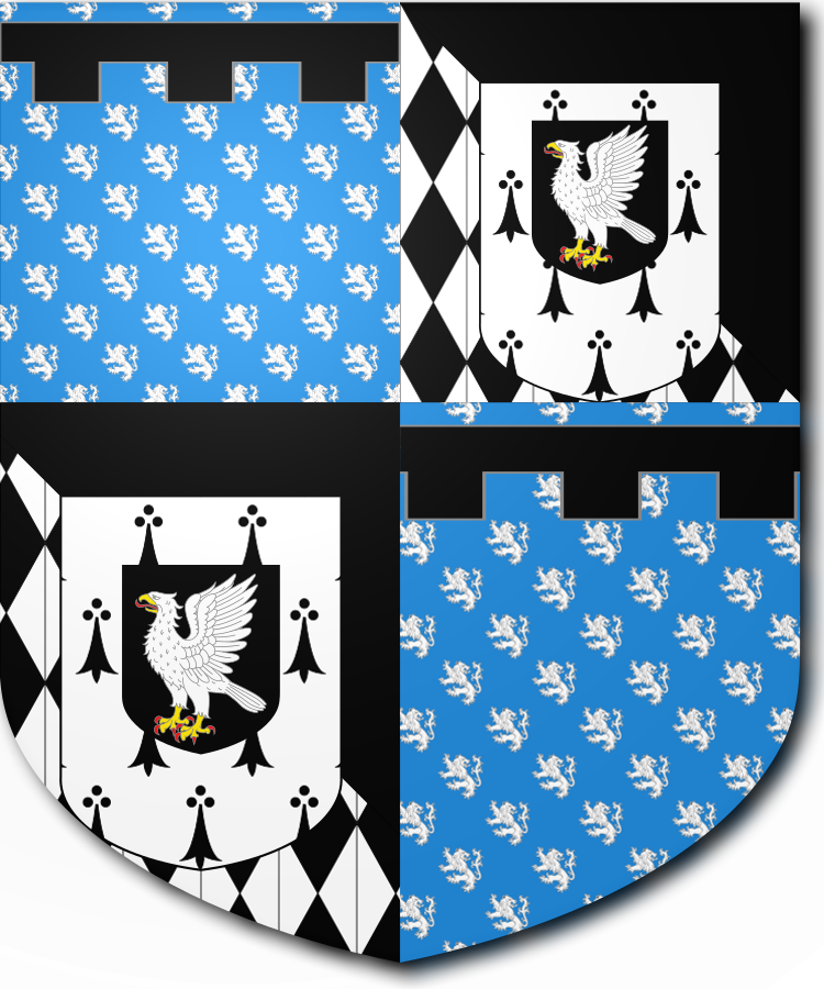 Shield image