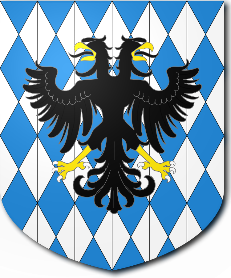 Shield image