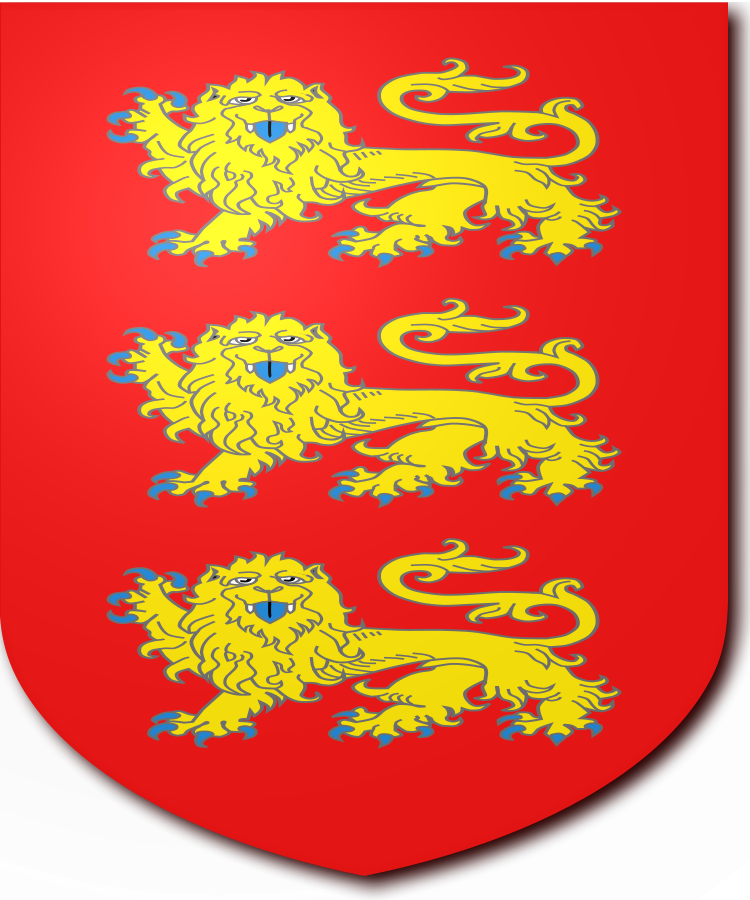 Shield image