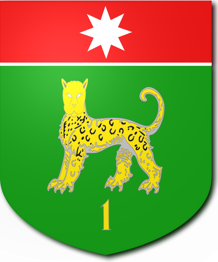 Shield image