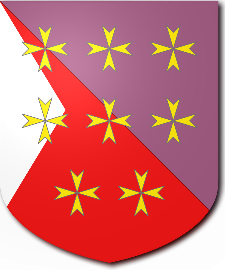 Shield image