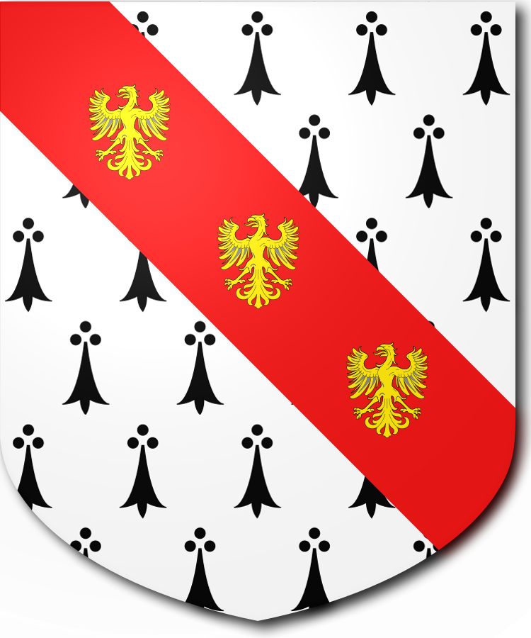 Shield image