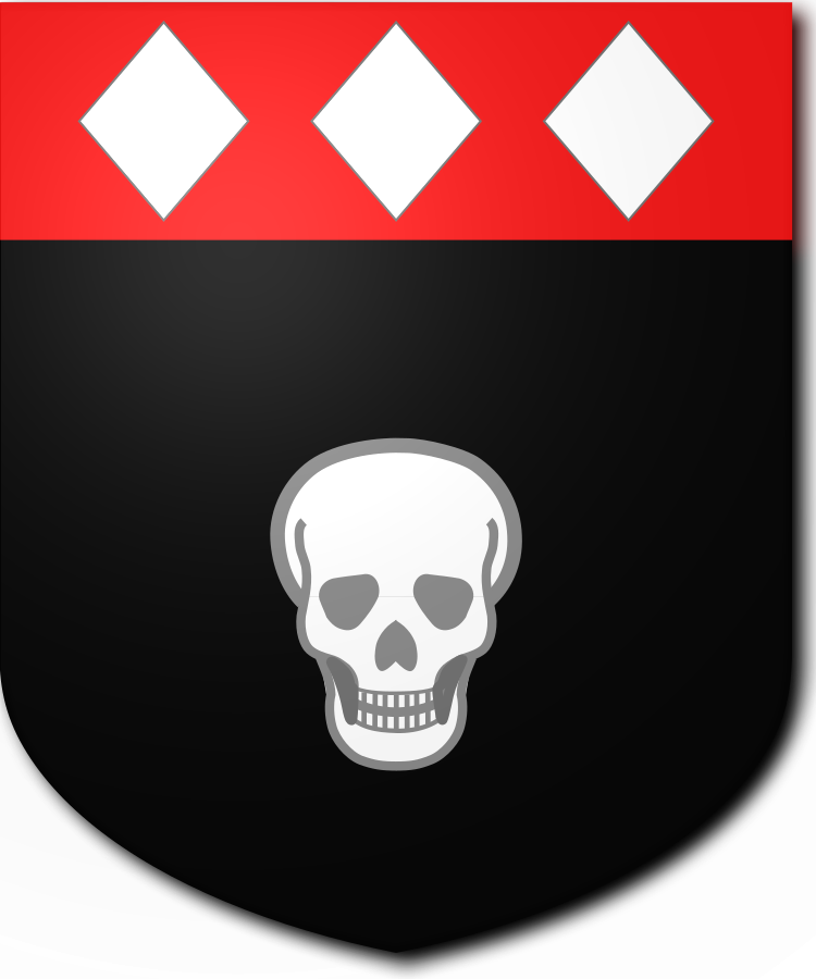 Shield image