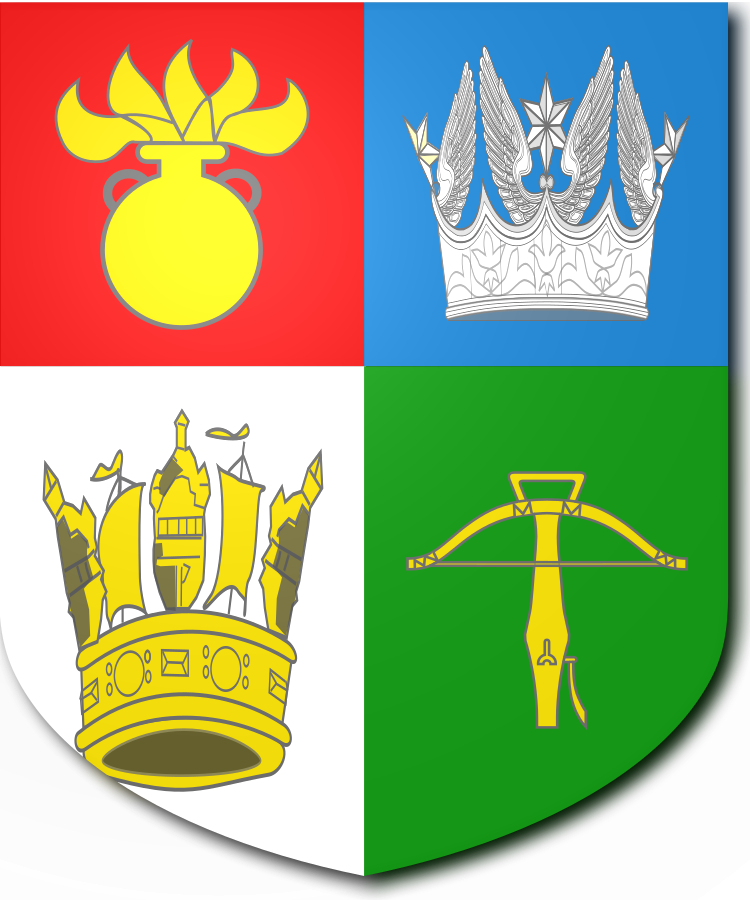 Shield image