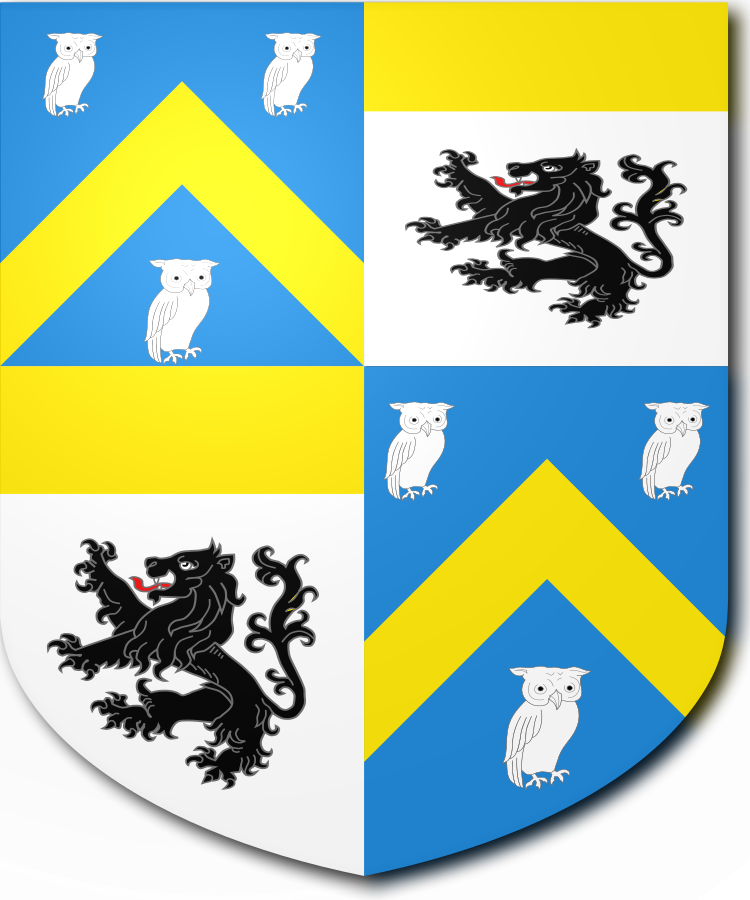 Shield image