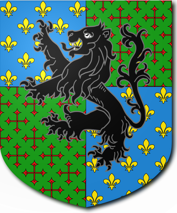 Shield image