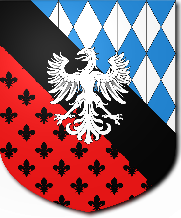 Shield image