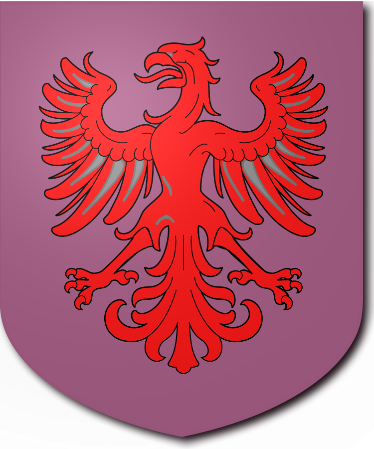 Shield image