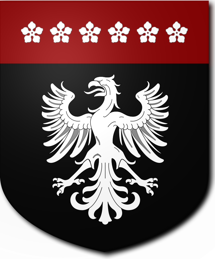 Shield image