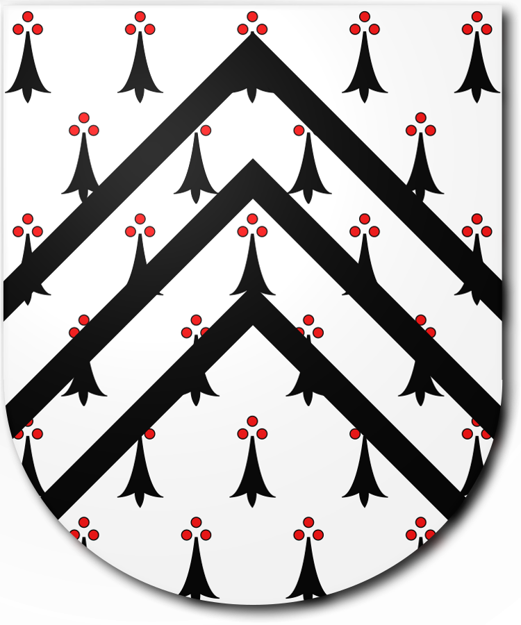 Shield image