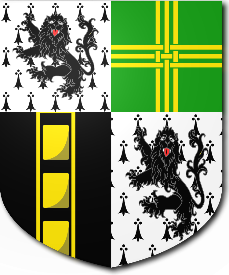 Shield image