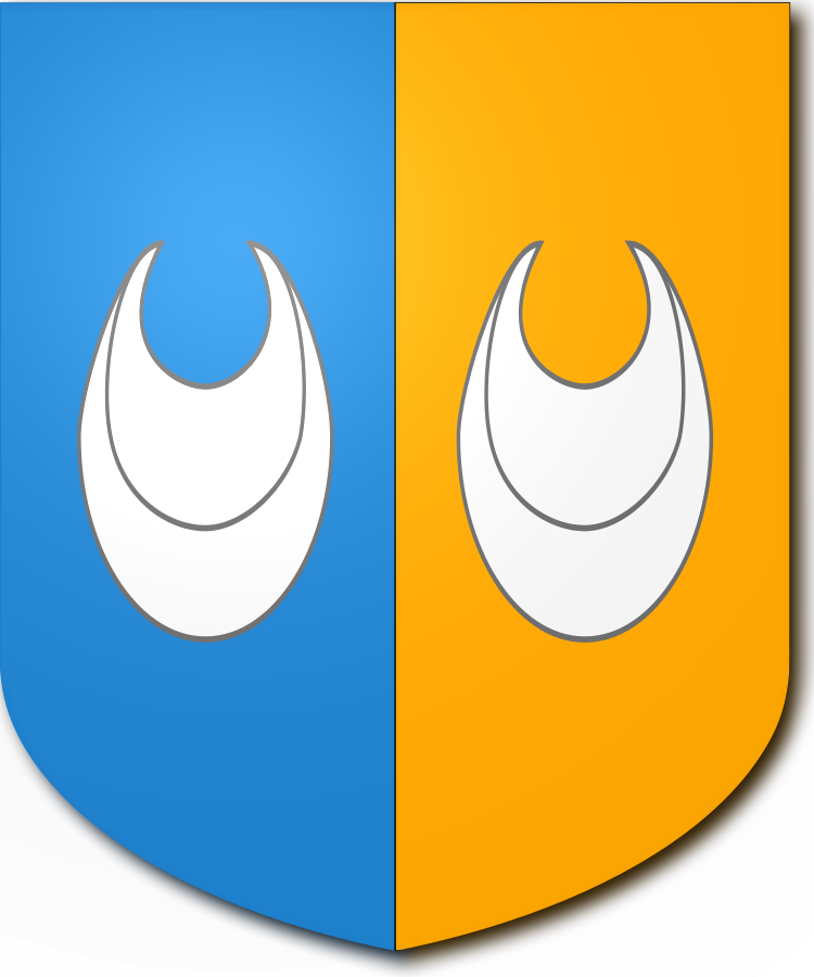 Shield image