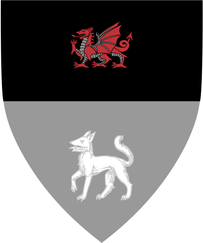 Shield image