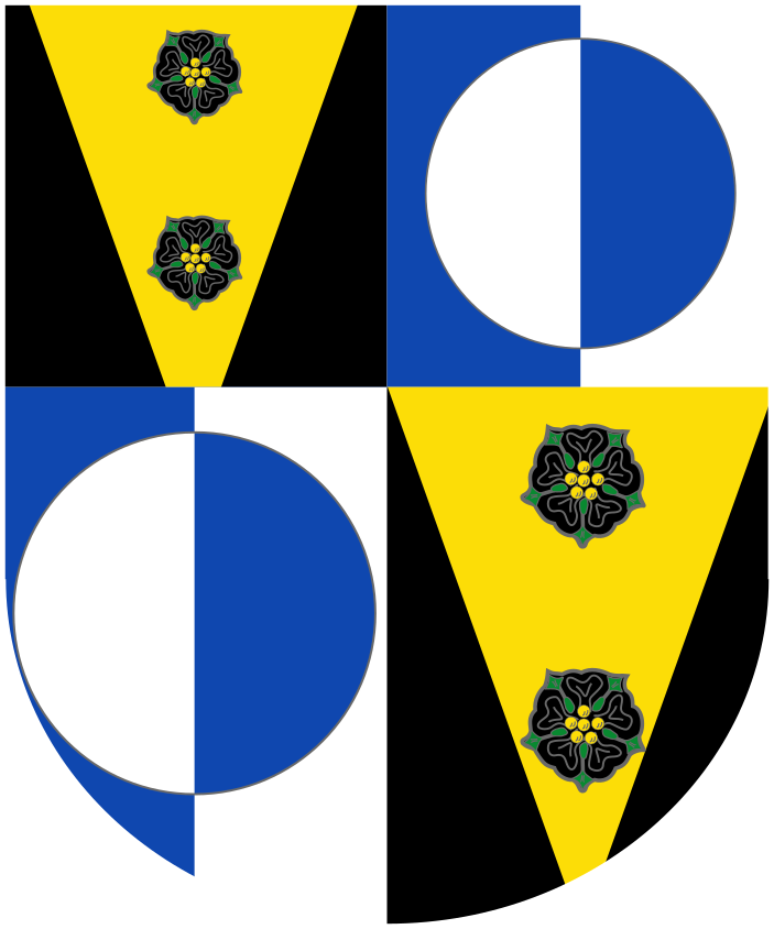 Shield image