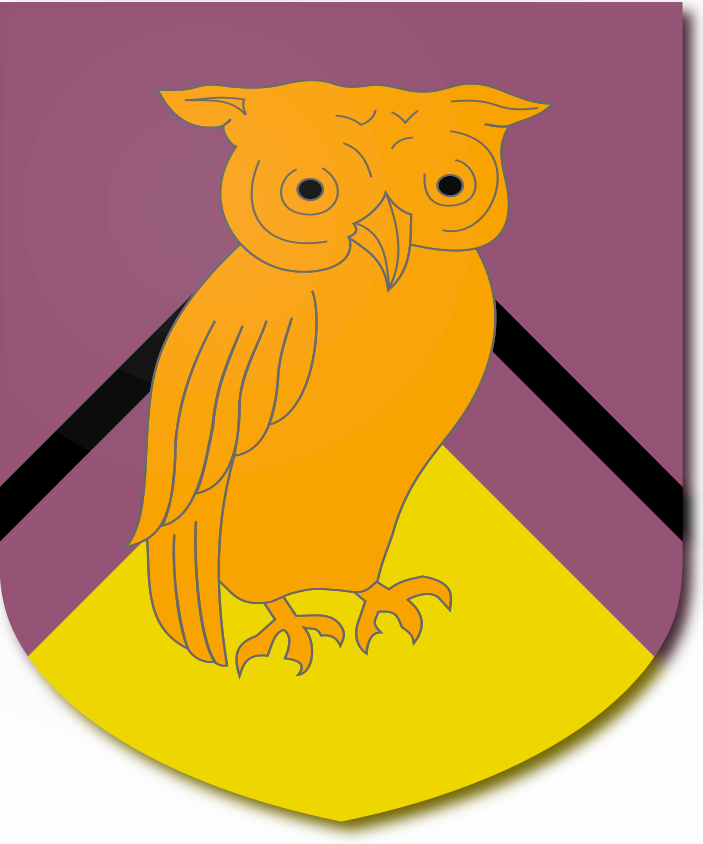 Shield image