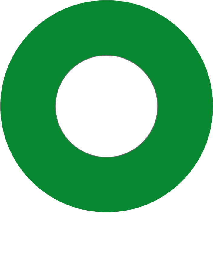 Pakistan Air Force Roundel