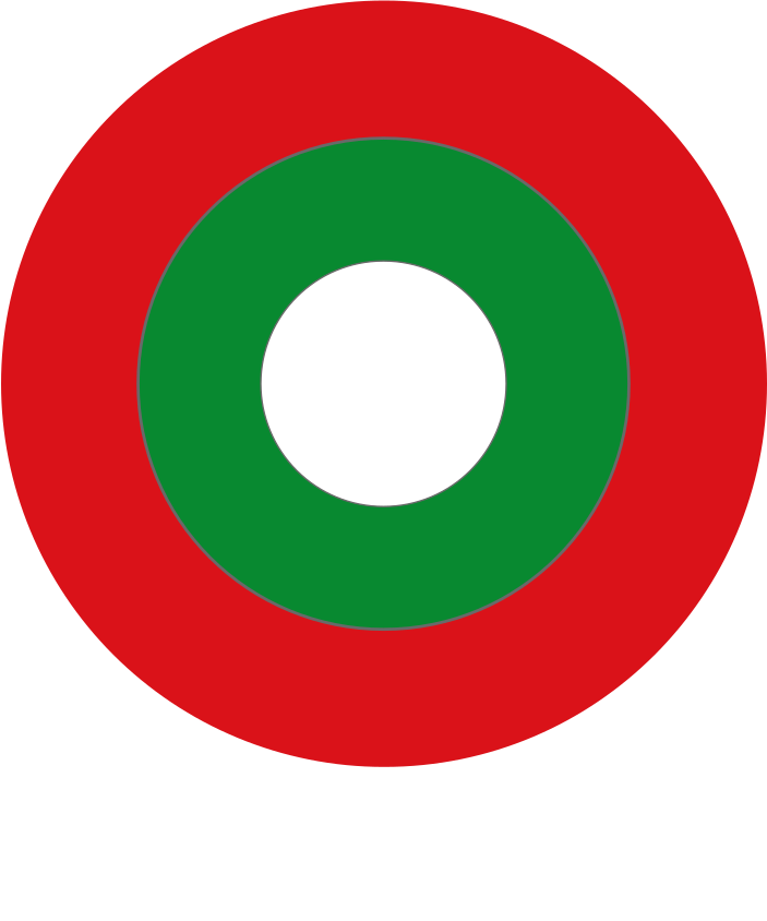 Maldives Air Force Roundel