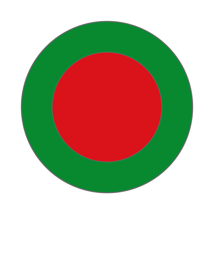 Bangladesh Naval Aviation Roundel