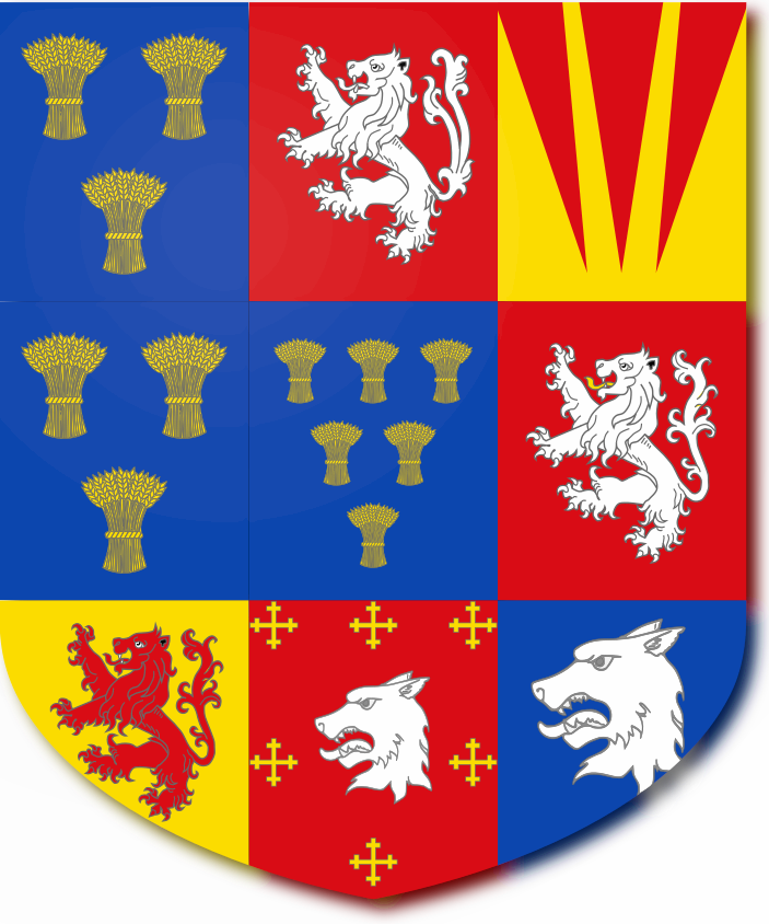 Shield image