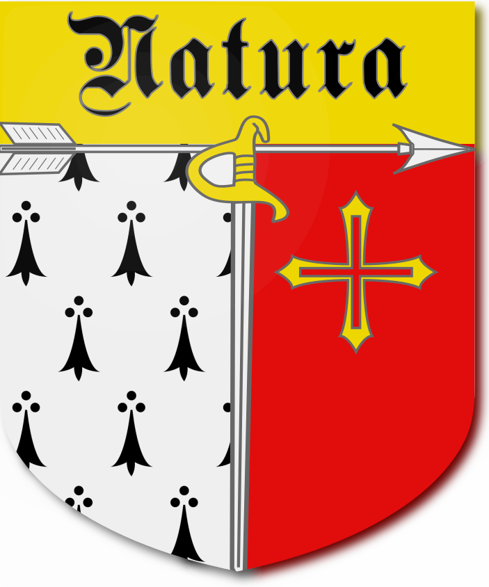 Shield image