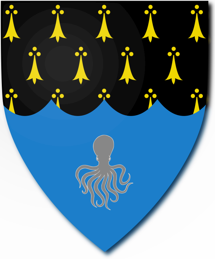 Shield image