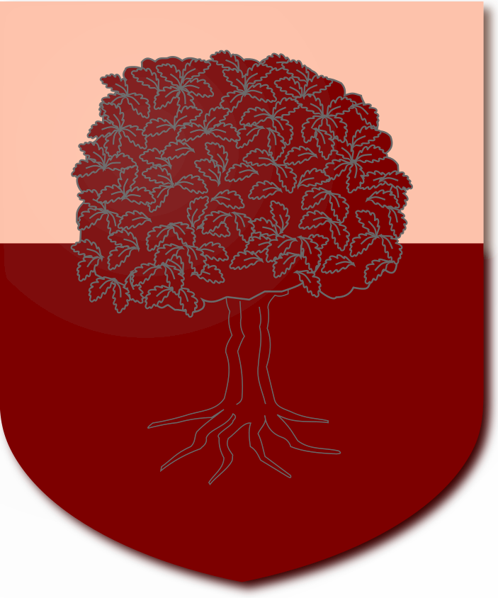 Shield image