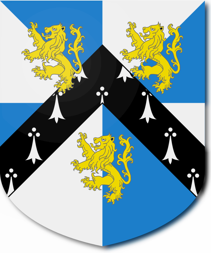 Shield image