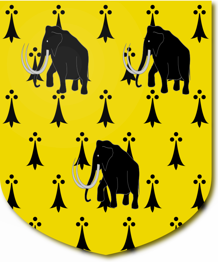 Shield image