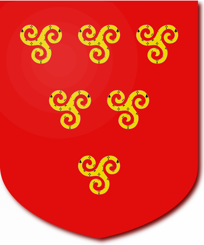 Shield image