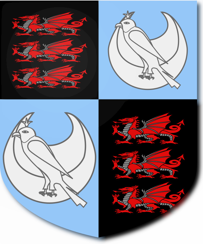 Shield image