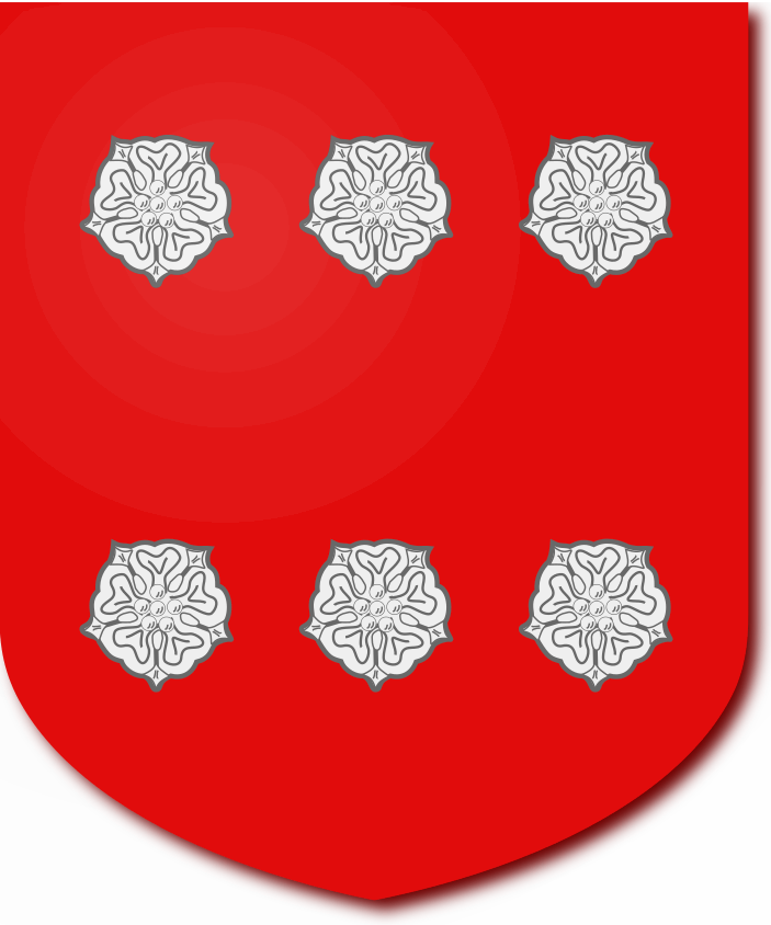 Shield image