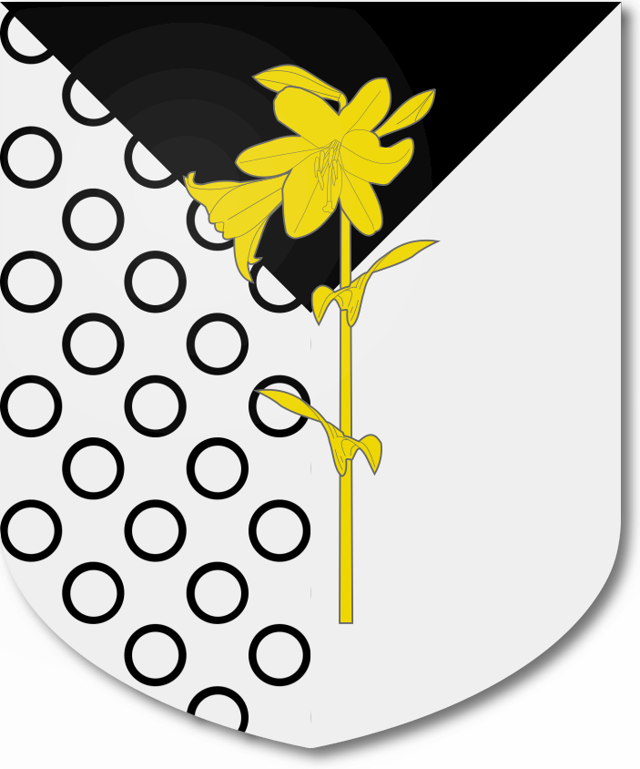 Shield image