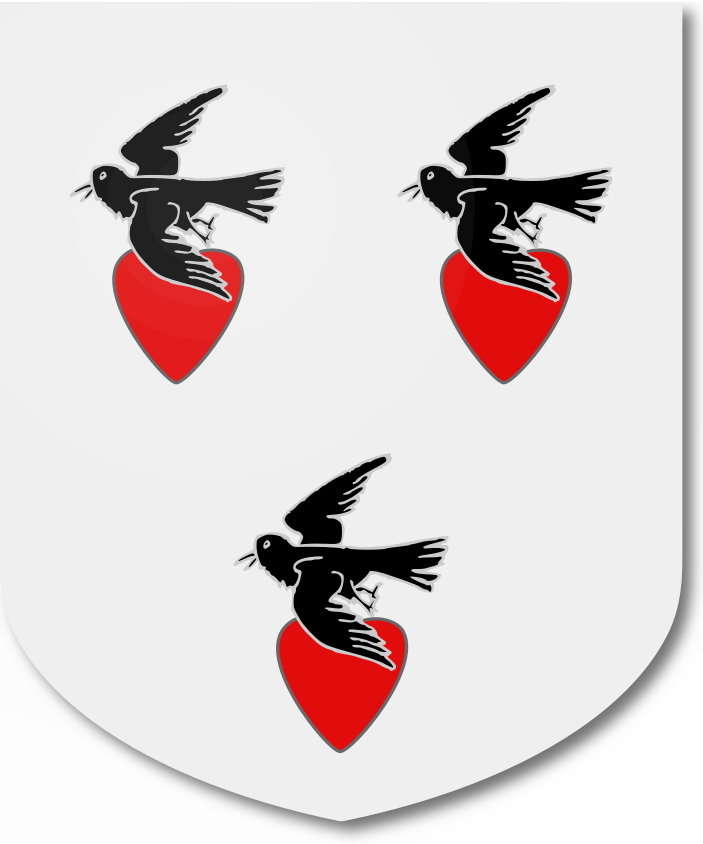 Shield image