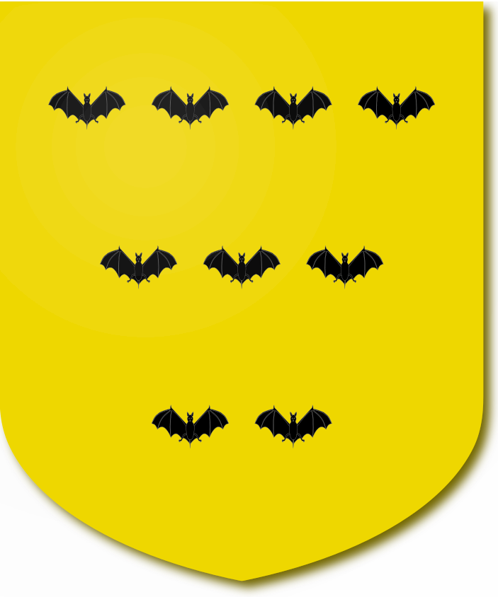 Shield image