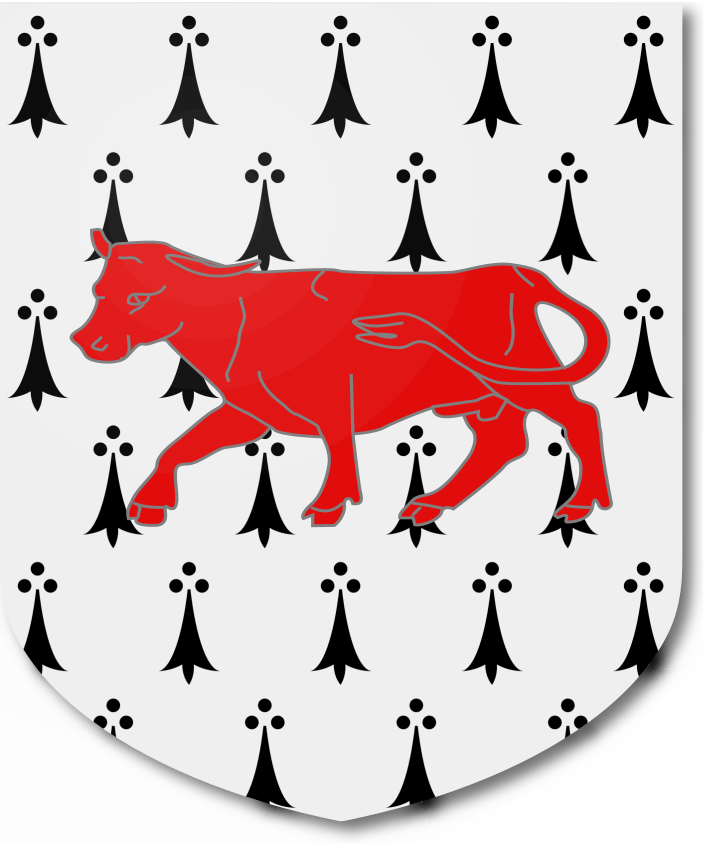 Shield image