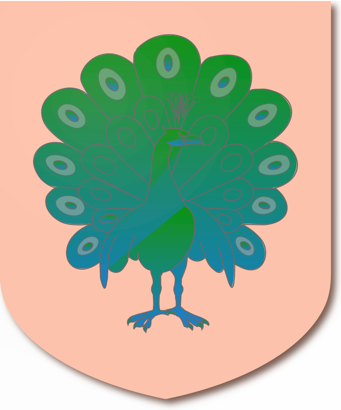 Shield image