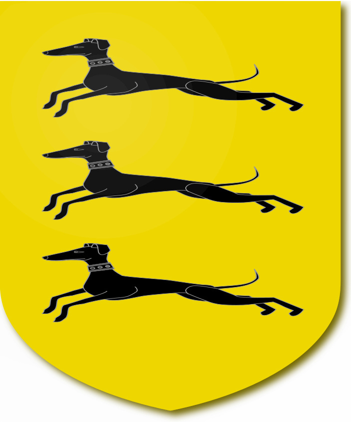 Shield image