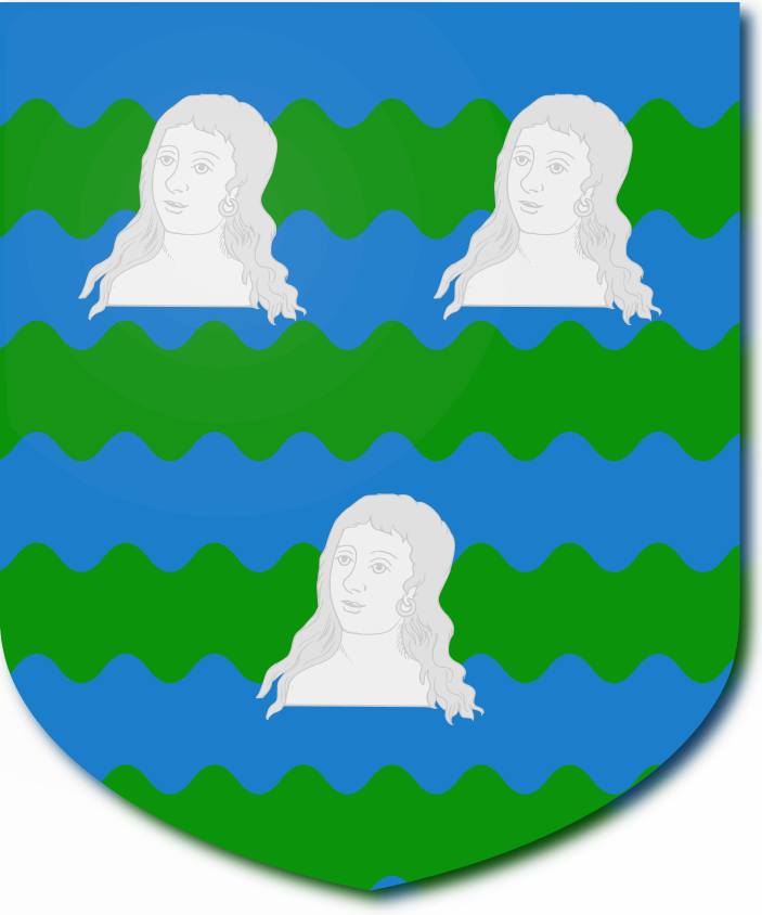 Shield image