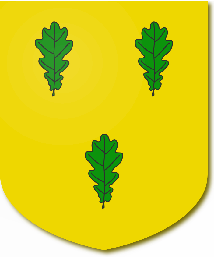 Shield image