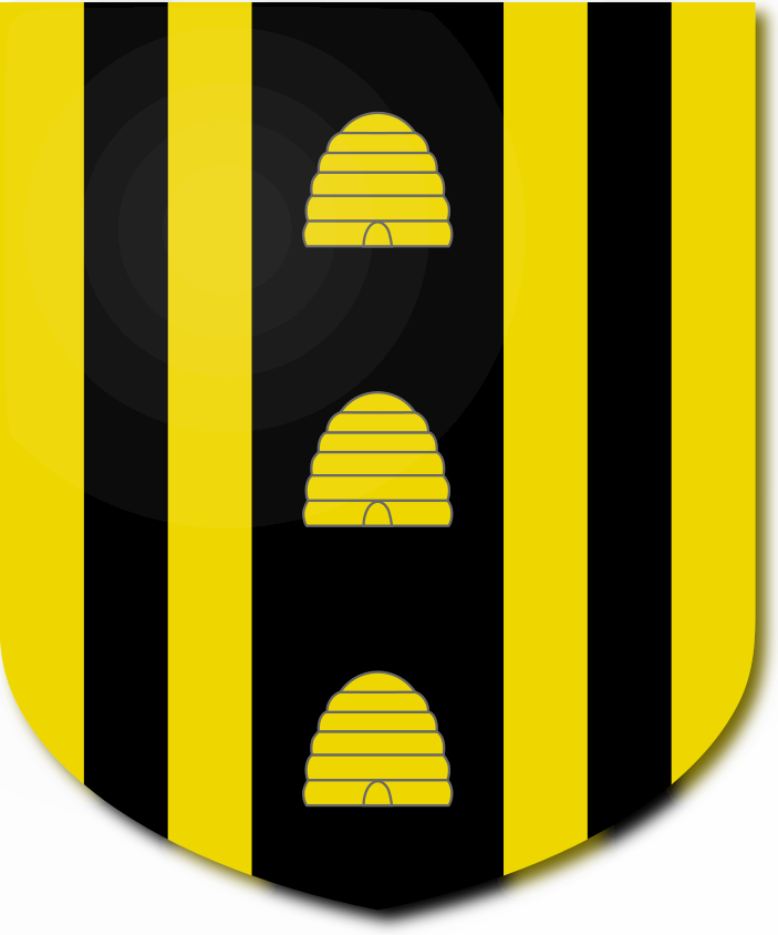 Shield image