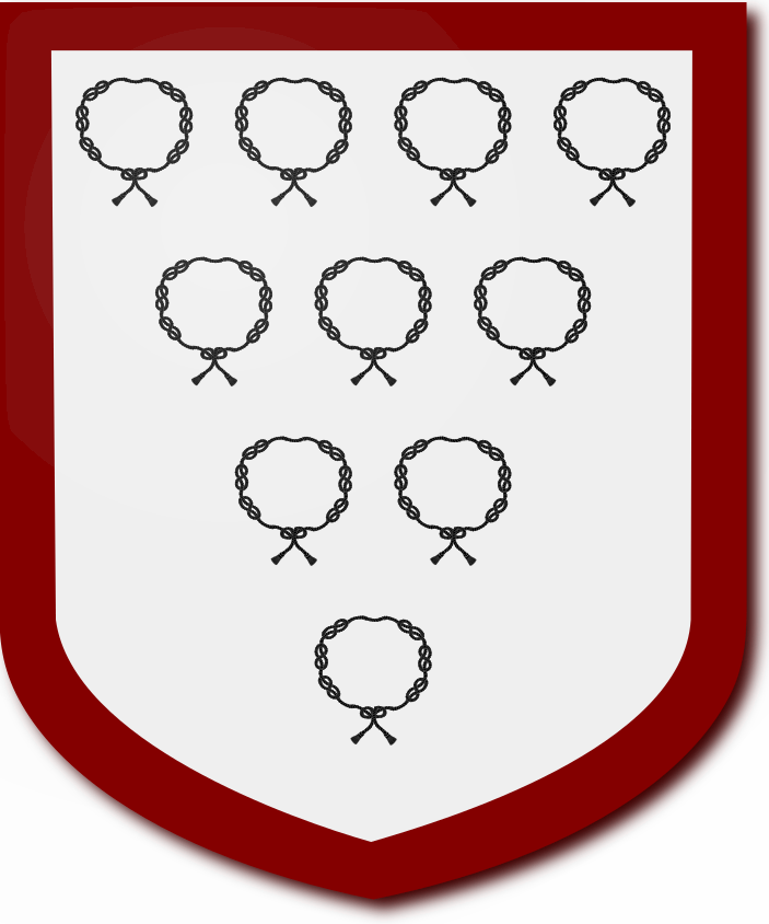 Shield image