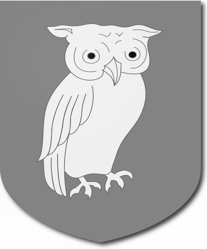 Shield image