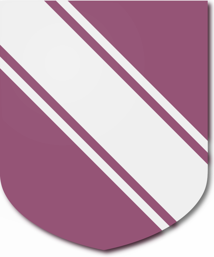 Shield image